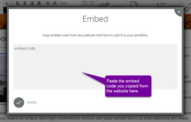 Entering the Embed Code